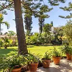 Echium T1 * Caniço