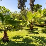 Apartment Echium T1 Canico (Madeira)