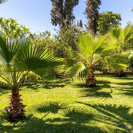 Echium T1 Apartment *