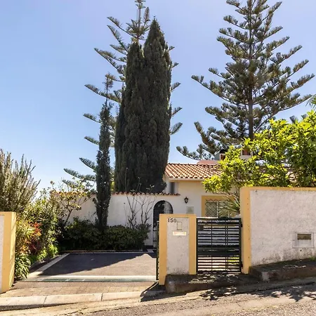 Echium T1 Apartment Canico (Madeira)