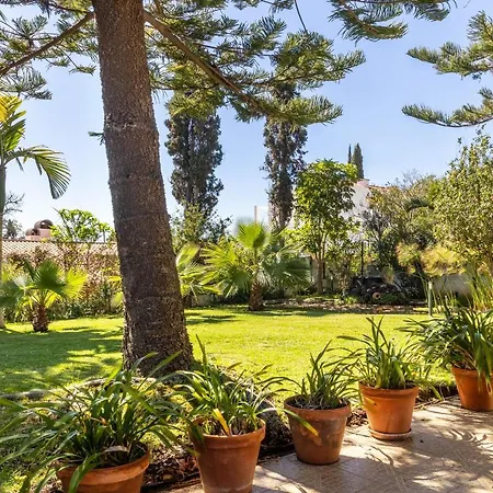 Echium T1 Apartment *
