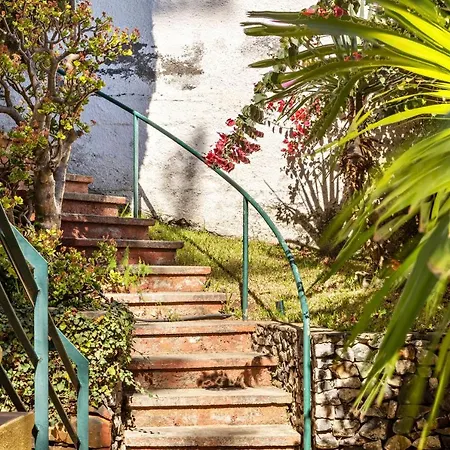 Apartmán Echium T1 *