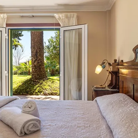 Echium T1 Канису