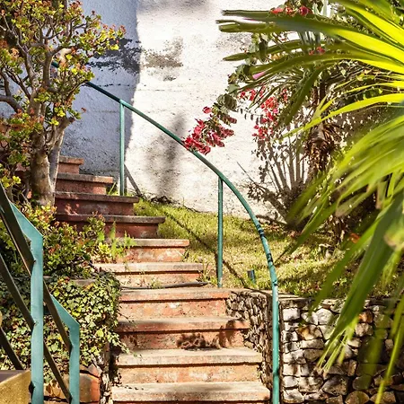 Echium T1 Apartmán *