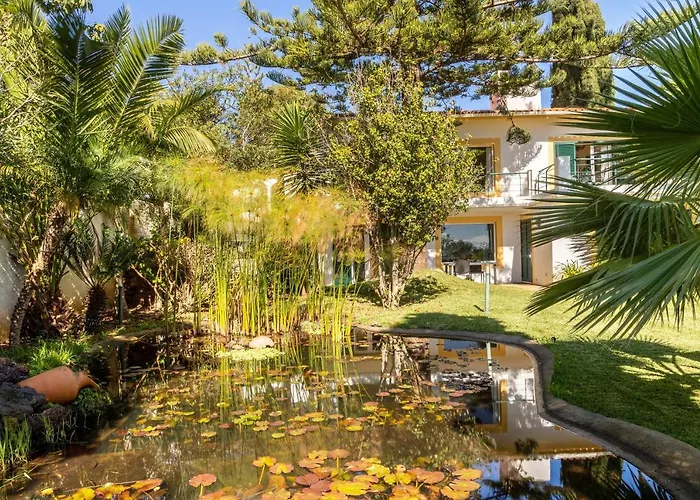 Apartmán Echium T1 *