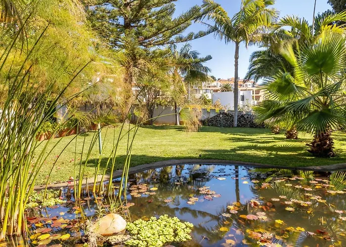 Apartmán Echium T1 Caniço