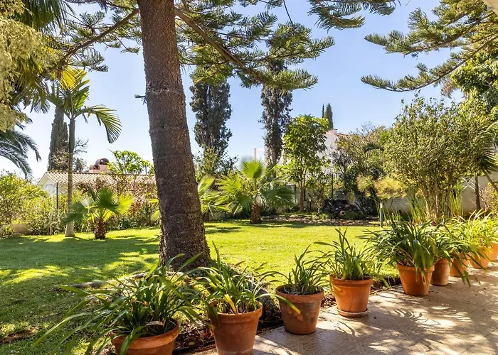 Echium T1 Apartmán *