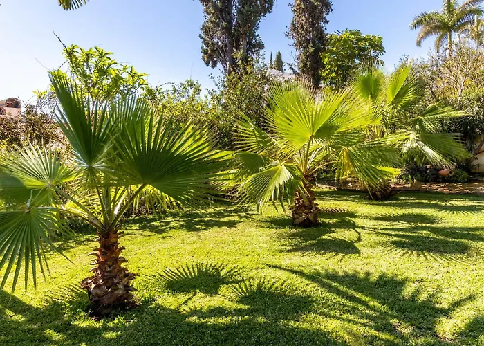 Apartamento Echium T1 Caniço